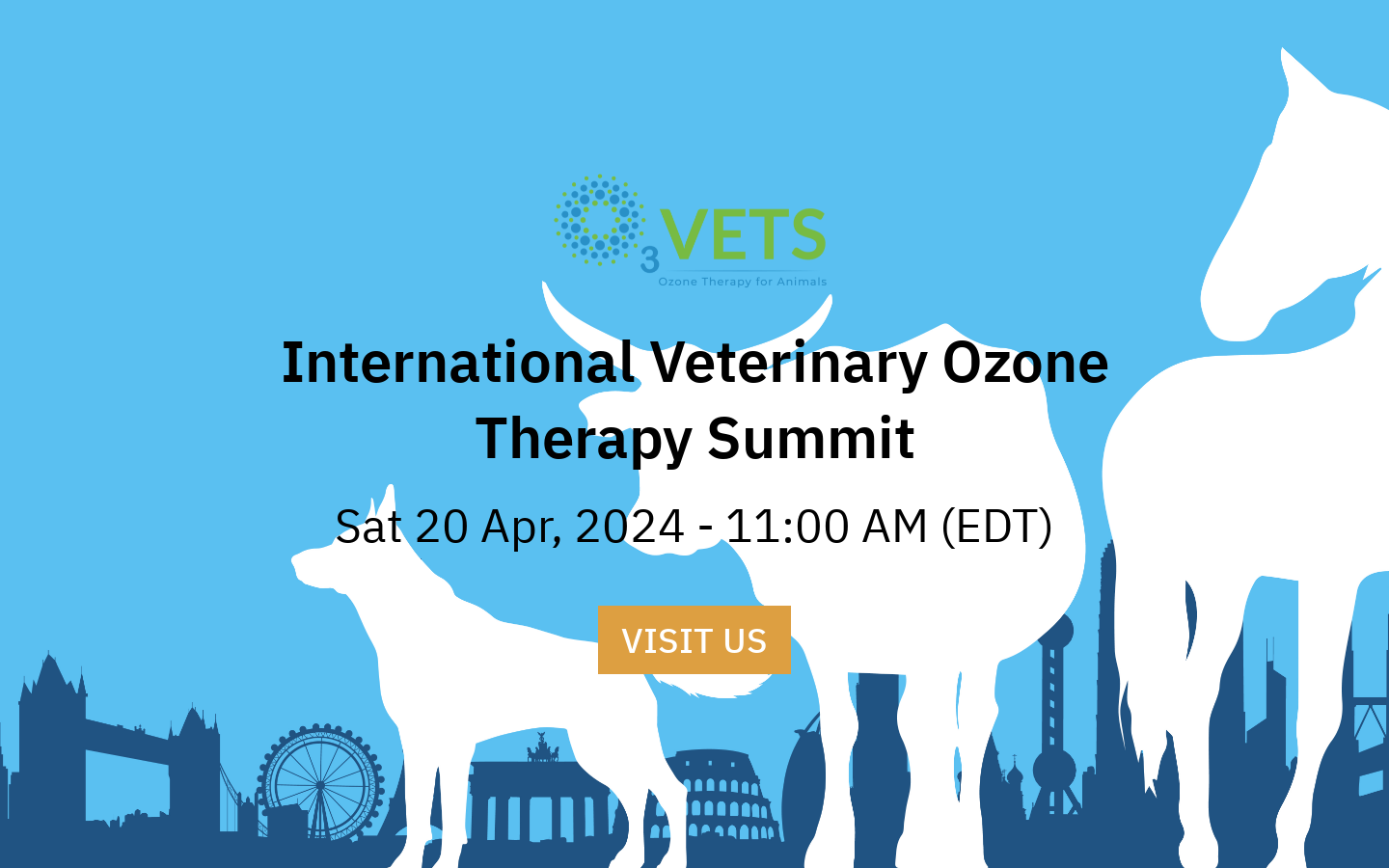 International Veterinary Ozone Therapy Summit